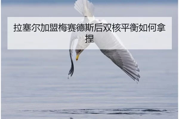 la-sai-er-jia-meng-mei-sai-de-si-hou-shuang-he-ping-heng-ru-he-na-nie-2-383.jpg