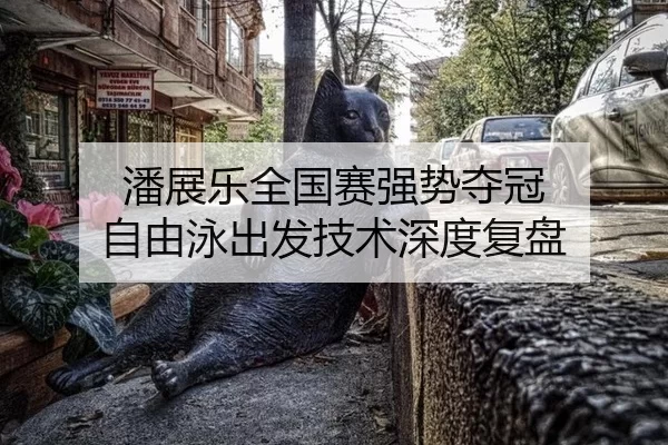 潘展乐全国赛强势夺冠 自由泳出发技术深度复盘